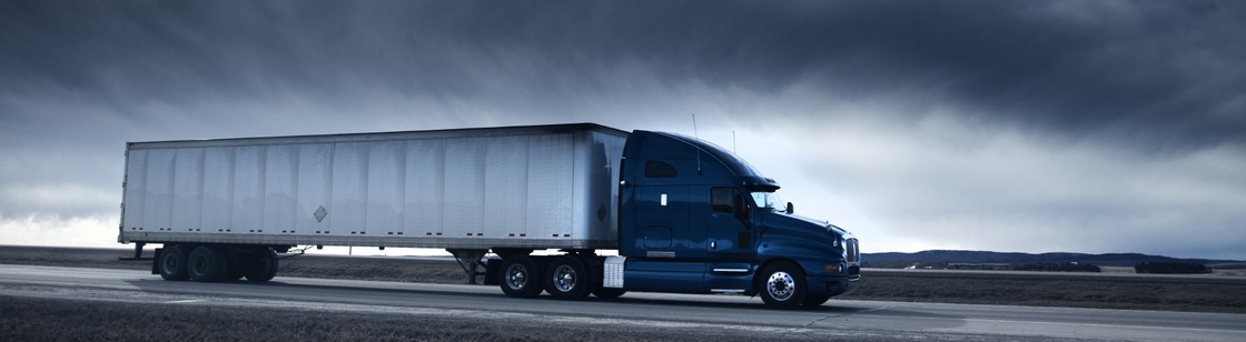 fleet-management-teltonika-fm1100